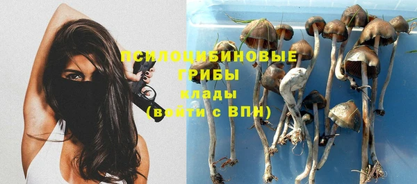 амф Алексин
