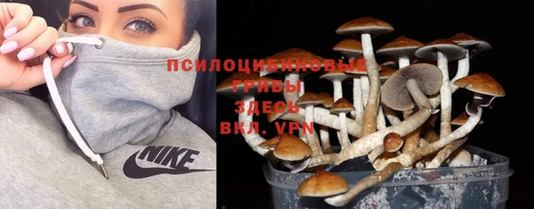 амф Алексин