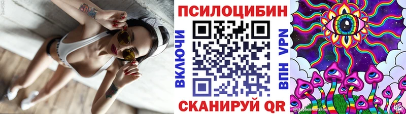 Псилоцибиновые грибы прущие грибы  Волжский 